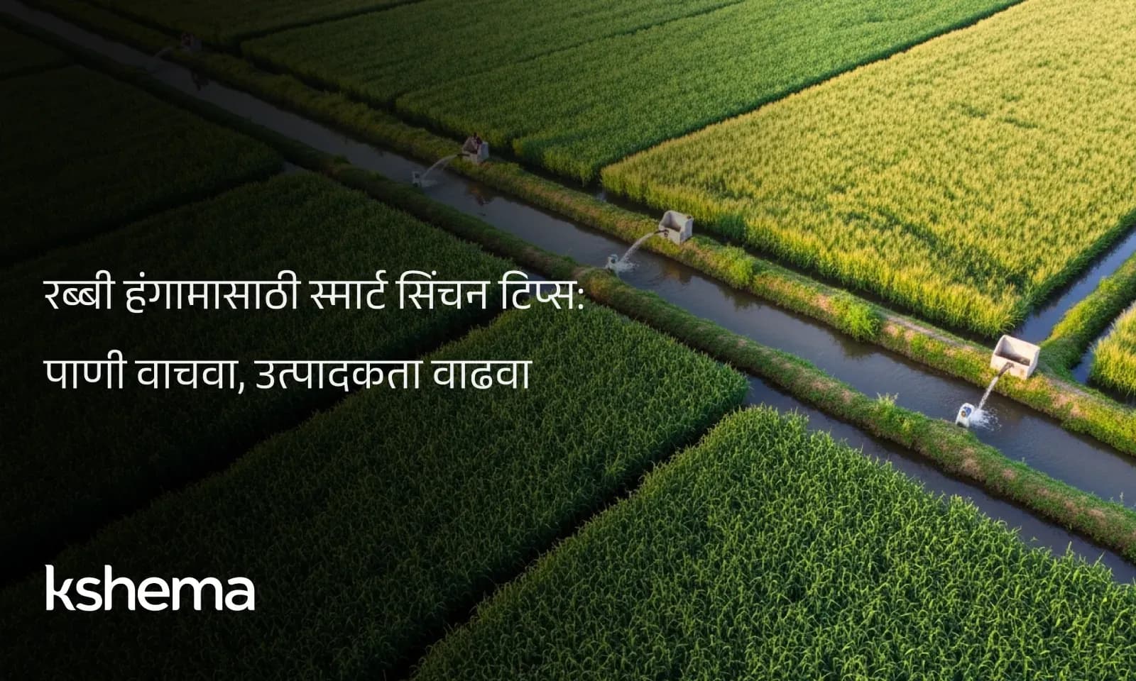 रब्बी हंगामासाठी स्मार्ट सिंचन टिप्स: पाणी वाचवा, उत्पादकता वाढवा