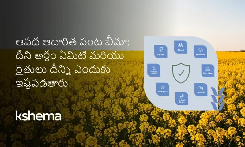 ఆపద ఆధారిత పంట బీమా: దీని అర్థం ఏమిటి మరియు రైతులు దీన్ని ఎందుకు ఇష్టపడతారు