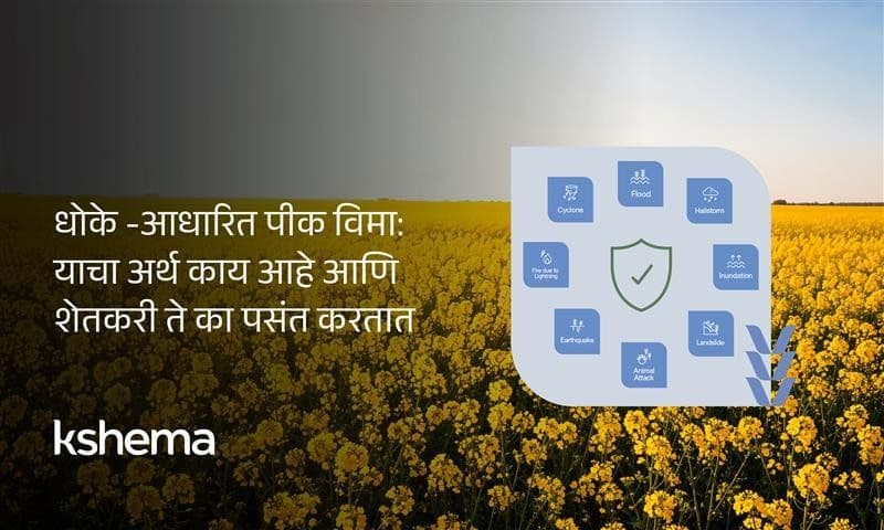 धोके  -आधारित पीक विमा: याचा अर्थ काय आहे आणि शेतकरी ते का पसंत करतात