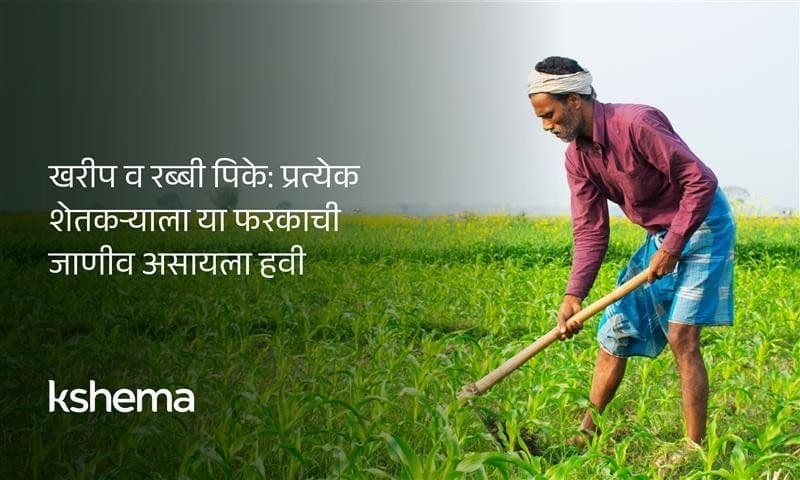 खरीप व रब्बी पिके म्हणजे काय? फरक, हंगाम, पेरणी‑काढणी, उदाहरणे व पीकविमा माहिती