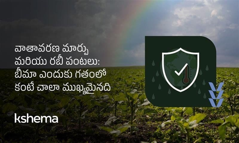 వాతావరణ మార్పు మరియు రబీ పంటలు: బీమా ఎందుకు గతంలో కంటే చాలా ముఖ్యమైనది