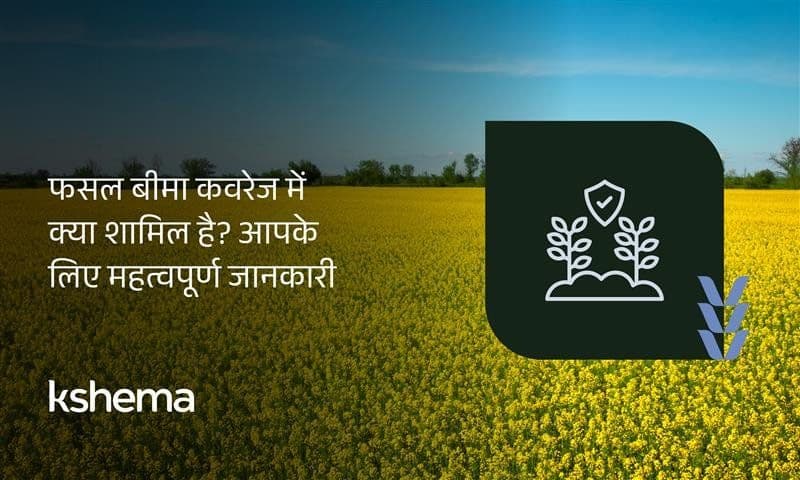 फसल बीमा कवरेज में क्या शामिल है? आपके लिए महत्वपूर्ण जानकारी