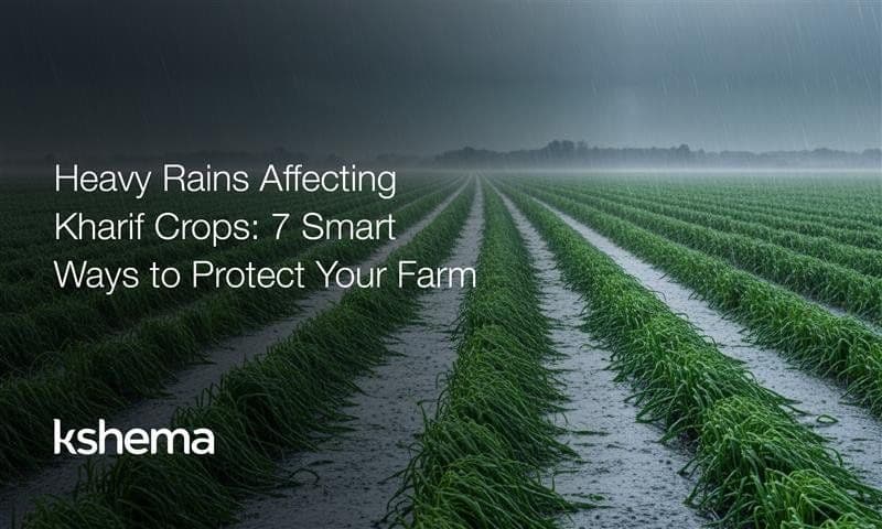 Heavy Rains Affecting Kharif Crops: 7 Smart Ways to Protect Your Farm
