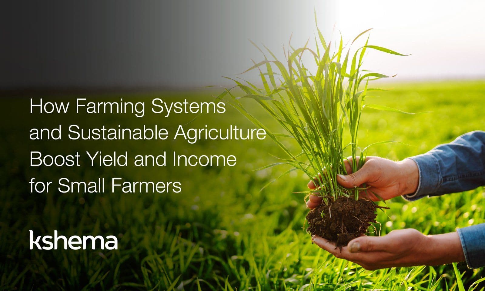 How Farming Systems and Sustainable Agriculture Boost Yield and Income for Small Farmers