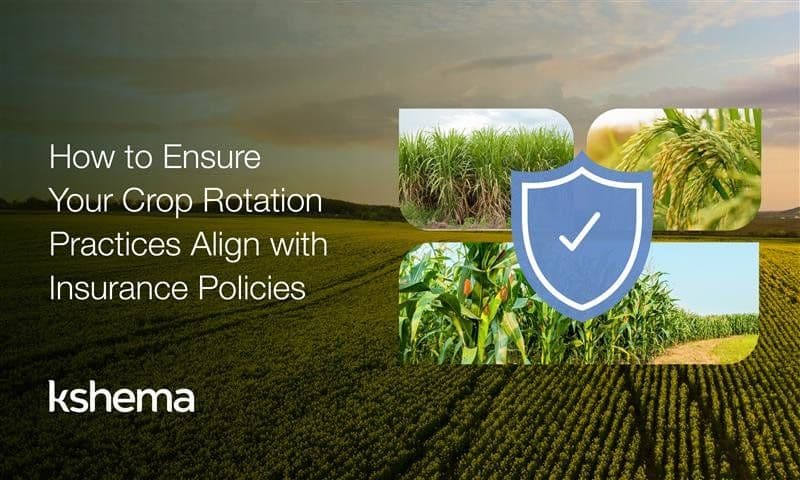 How to Ensure Your Crop Rotation Practices Align with Insurance Policies