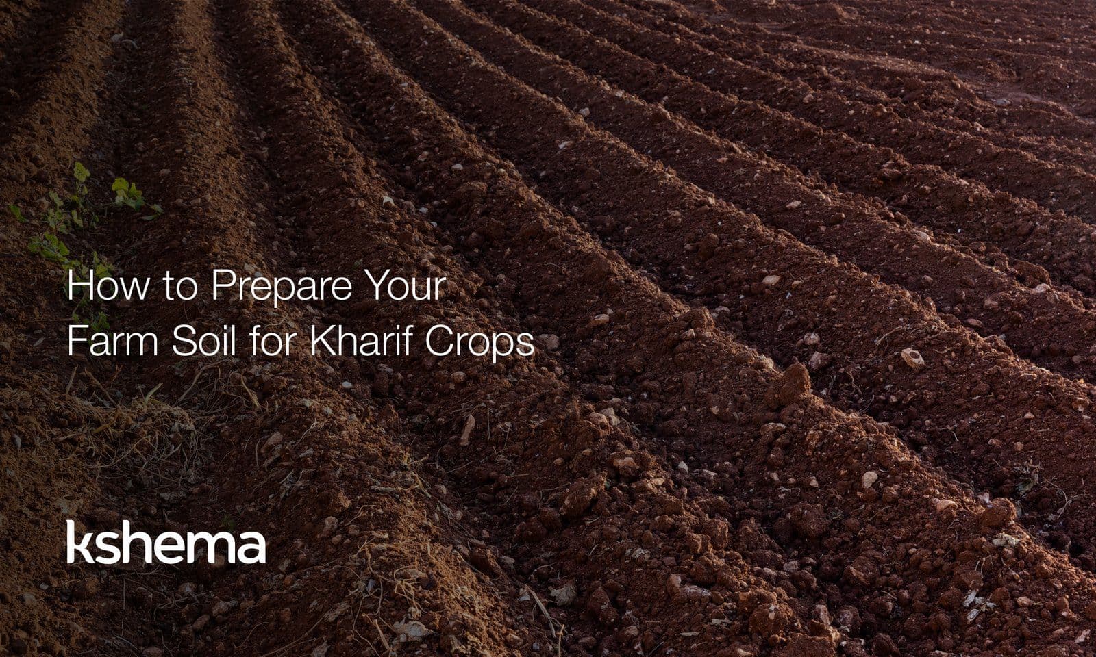 How to Prepare Your Farm Soil for Kharif Crops