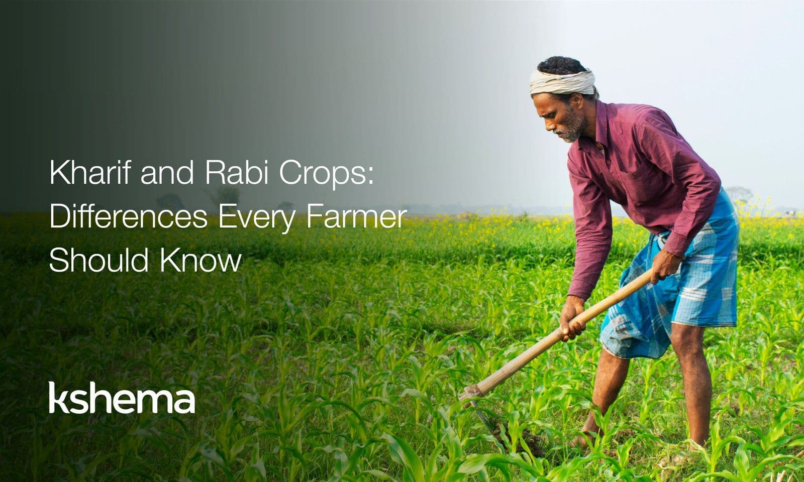 Kharif and Rabi Crops: Key Differences Every Farmer Should Know (2026 Guide)