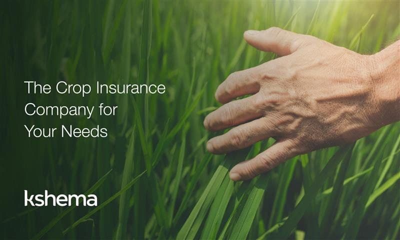 Kshema: The Crop Insurance Company for Your Needs