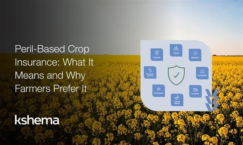 Peril-Based Crop Insurance: What It Means and Why Farmers Prefer It