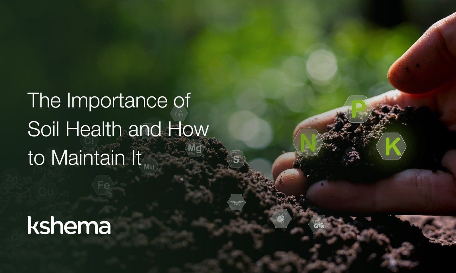 Soil Health in Agriculture: Why It Matters and How Farmers Can Maintain It