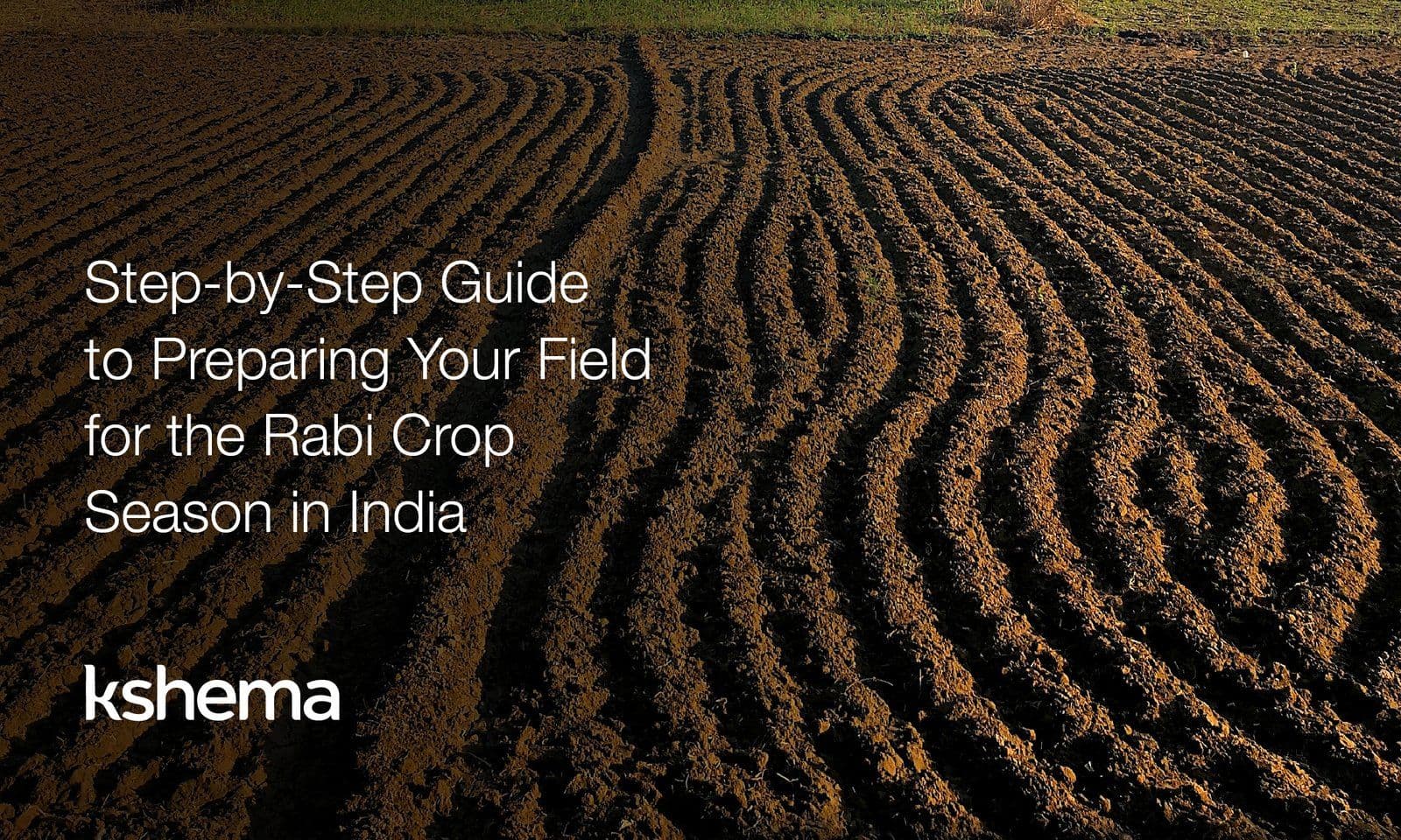 Step-by-Step Guide to Preparing Your Field for the Rabi Crop Season in India