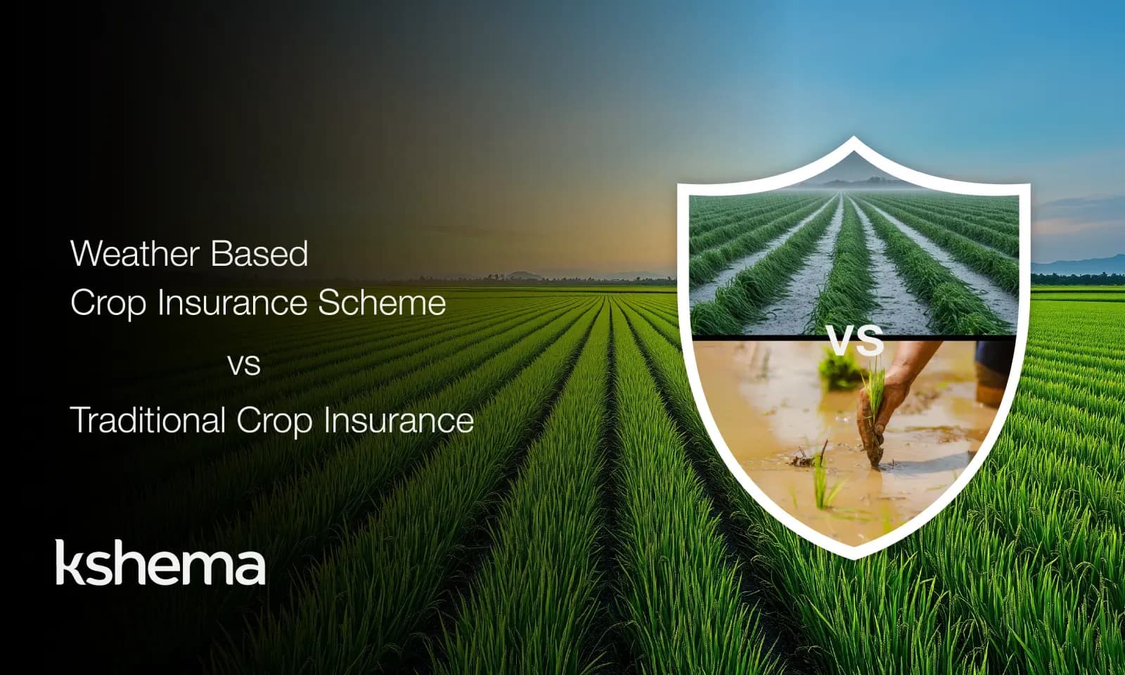 Weather Based Crop Insurance Scheme vs Traditional Crop Insurance