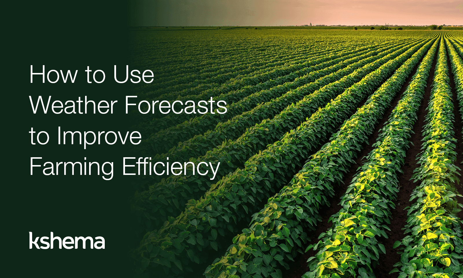 Weather Forecast in Farming: Why It Matters and How It Improves Agriculture