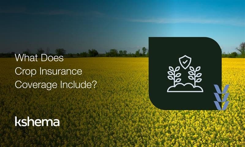 What Does Crop Insurance Coverage Include? Everything You Need to Know