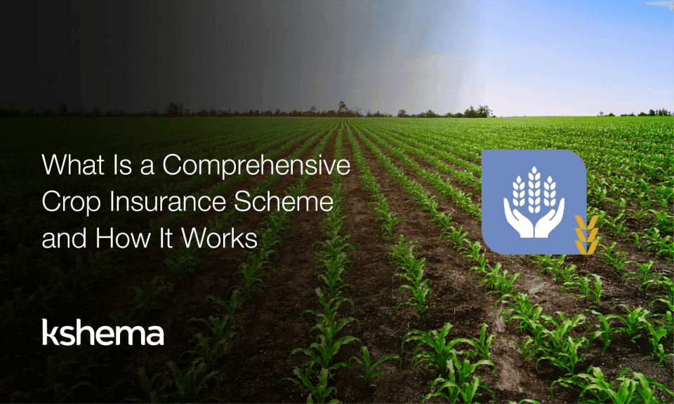 What Is a Comprehensive Crop Insurance Scheme and How It Works