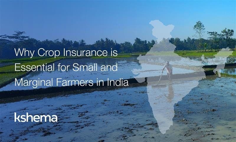 Why Crop Insurance in India is Essential for Small and Marginal Farmers in India